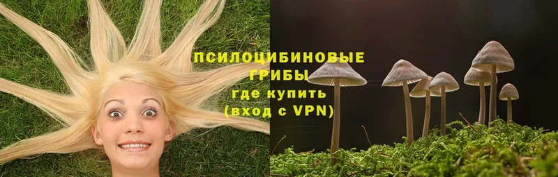 Галлюциногенные грибы MAGIC MUSHROOMS  Верхний Тагил 